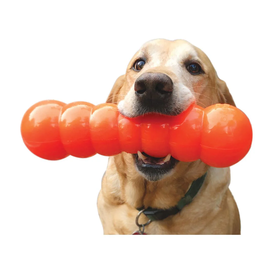 Buster Jouet Indestructible - RuffDawg – Image 3