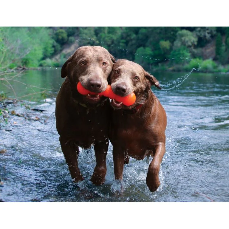 Buster Jouet Indestructible - RuffDawg – Image 2