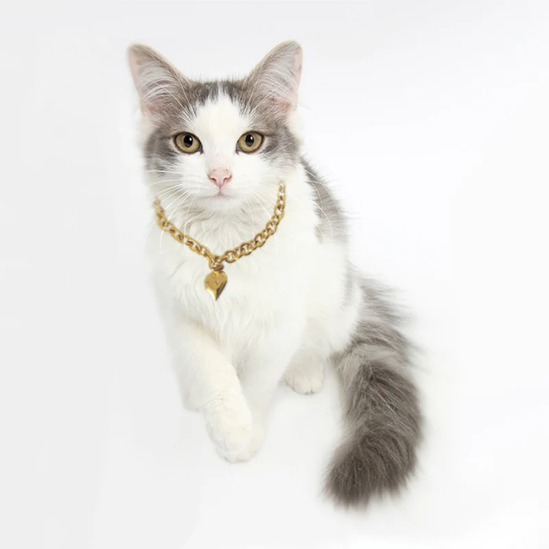 COLLIER GLAM®