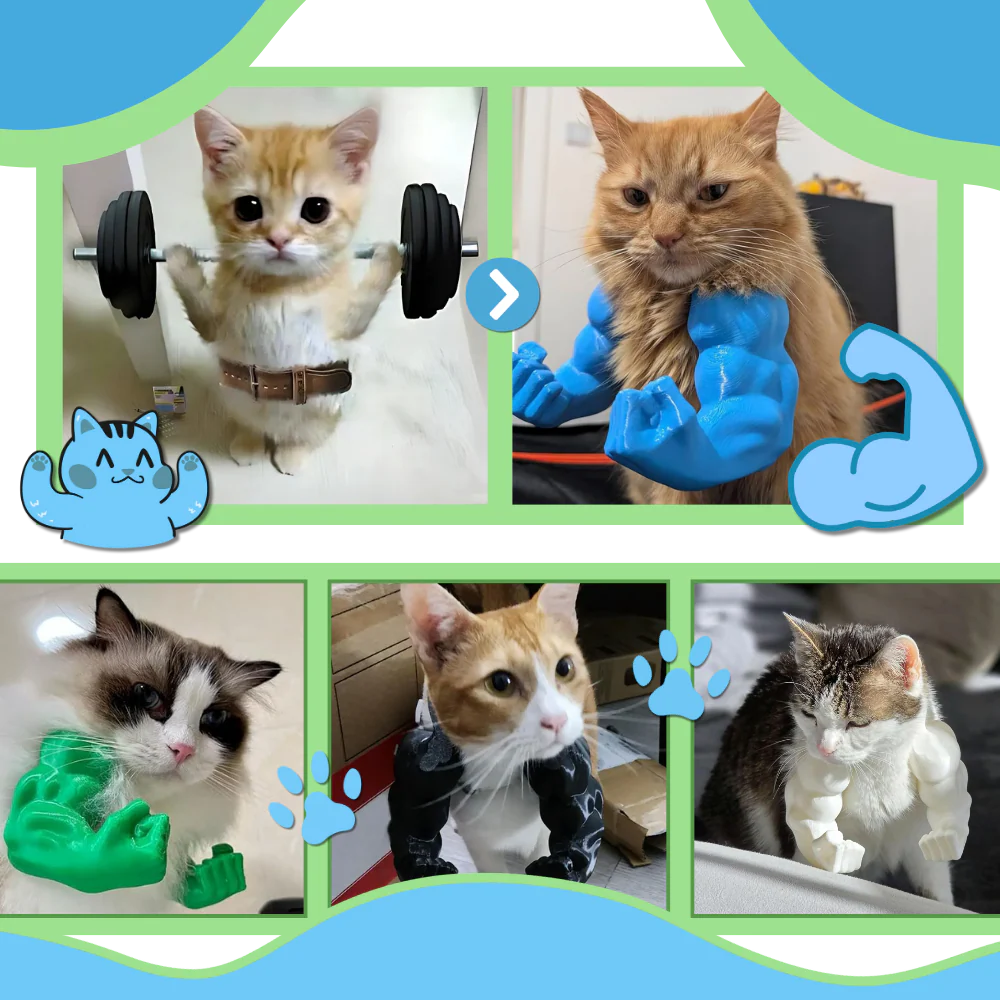 Costume pour chat bras de bodybuilder – Image 3